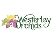 Westerlay Orchids