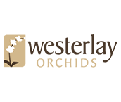 Westerlay Orchids